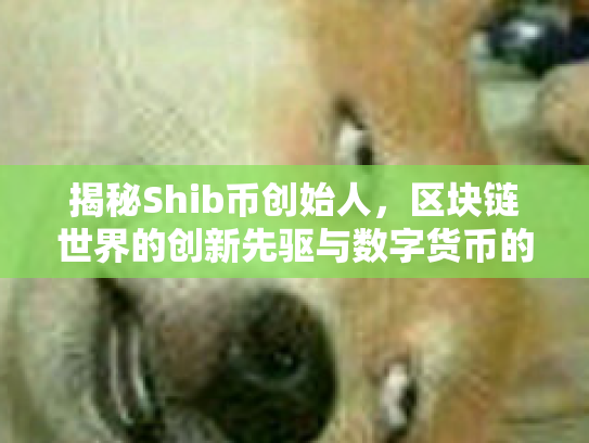 揭秘Shib币创始人，区块链世界的创新先驱与数字货币的未来机遇