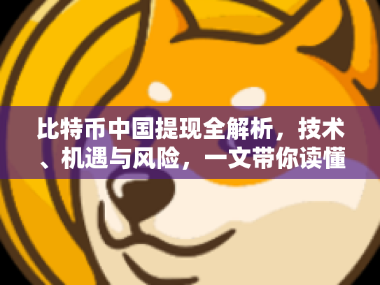 比特币中国提现全解析，技术、机遇与风险，一文带你读懂数字货币新篇章