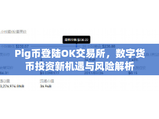 Pig币登陆OK交易所,数字货币投资新机遇与风险解析 Pig币登陆OK交易所,数字货币投资新机遇与风险解析