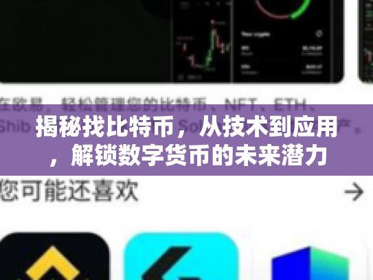 揭秘找比特币,从技术到应用,解锁数字货币的未来潜力 揭秘找比特币,从技术到应用,解锁数字货币的未来潜力