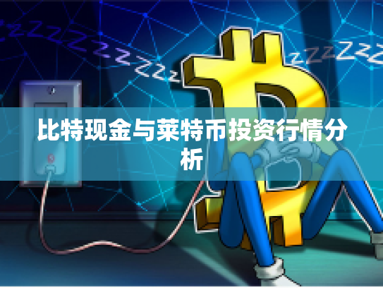 比特现金与莱特币投资行情分析