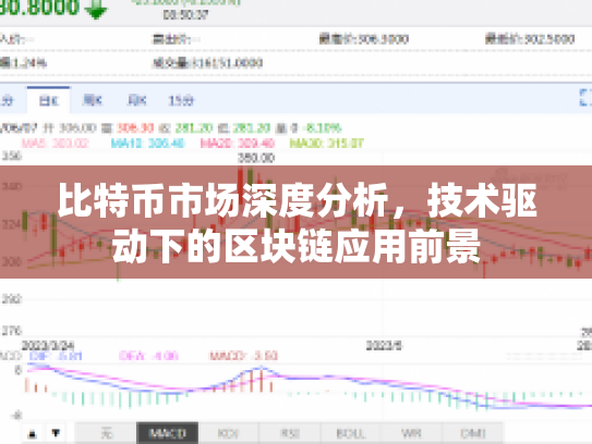 比特币市场深度分析，技术驱动下的区块链应用前景