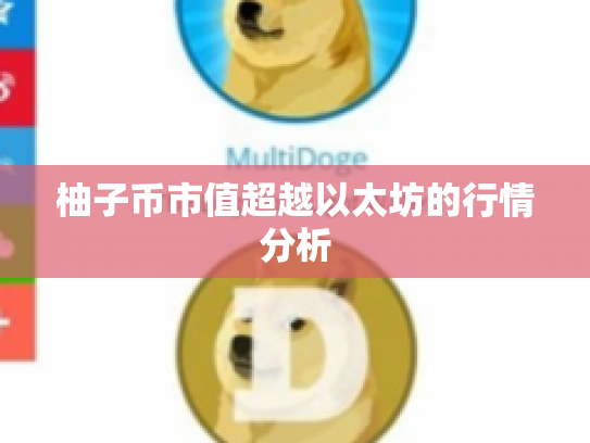 柚子币市值超越以太坊的行情分析 柚子币市值超越以太坊的行情分析