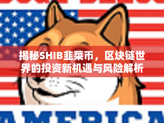 揭秘SHIB韭菜币，区块链世界的投资新机遇与风险解析