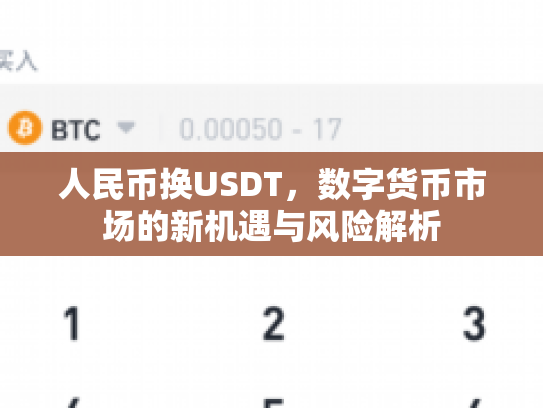人民币换USDT,数字货币市场的新机遇与风险解析 人民币换USDT,数字货币市场的新机遇与风险解析
