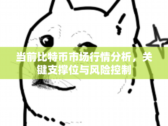 当前比特币市场行情分析,关键支撑位与风险控制 当前比特币市场行情分析,关键支撑位与风险控制