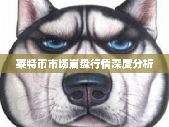 莱特币市场崩盘行情深度分析