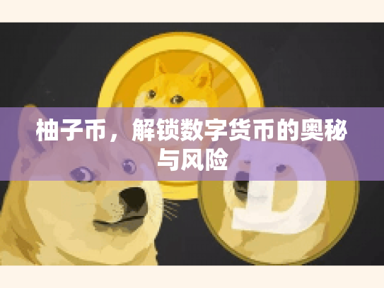 柚子币，解锁数字货币的奥秘与风险