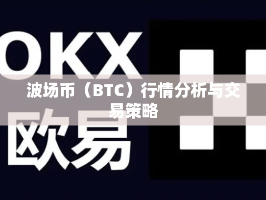 波场币（BTC）行情分析与交易策略