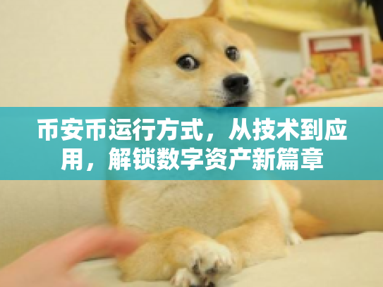 币安币运行方式，从技术到应用，解锁数字资产新篇章