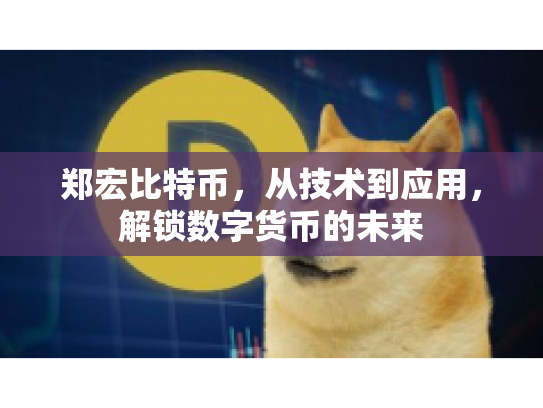 郑宏比特币，从技术到应用，解锁数字货币的未来