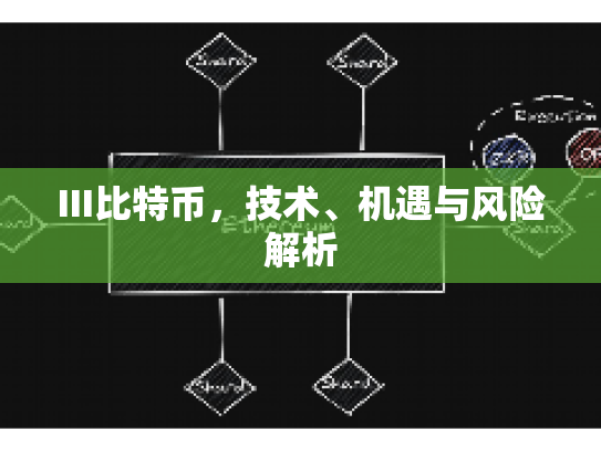 III比特币，技术、机遇与风险解析