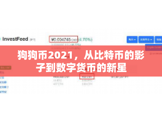 狗狗币2021,从比特币的影子到数字货币的新星 狗狗币2021,从比特币的影子到数字货币的新星