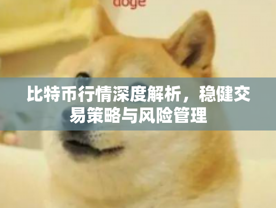 比特币行情深度解析,稳健交易策略与风险管理 比特币行情深度解析,稳健交易策略与风险管理