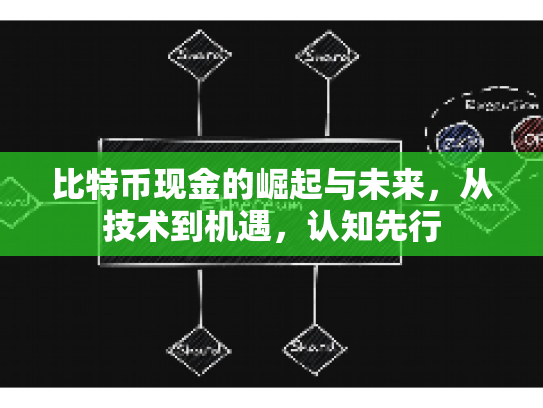 比特币现金的崛起与未来，从技术到机遇，认知先行