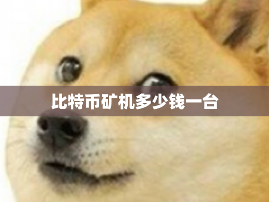 比特币矿机多少钱一台
