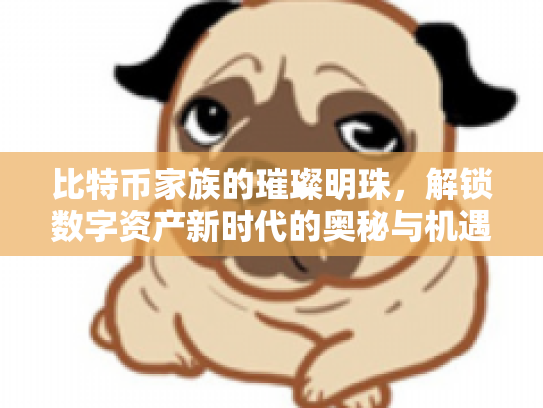 比特币家族的璀璨明珠，解锁数字资产新时代的奥秘与机遇