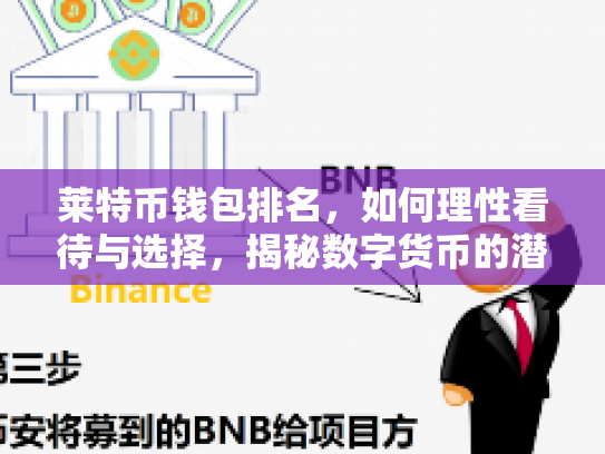 莱特币钱包排名,如何理性看待与选择,揭秘数字货币的潜力与风险 莱特币钱包排名,如何理性看待与选择,揭秘数字货币的潜力与风险