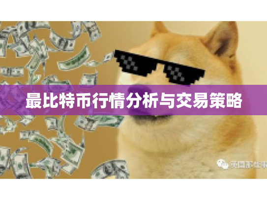 最比特币行情分析与交易策略 最比特币行情分析与交易策略
