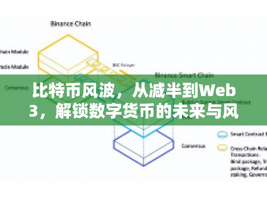 比特币风波，从减半到Web3，解锁数字货币的未来与风险