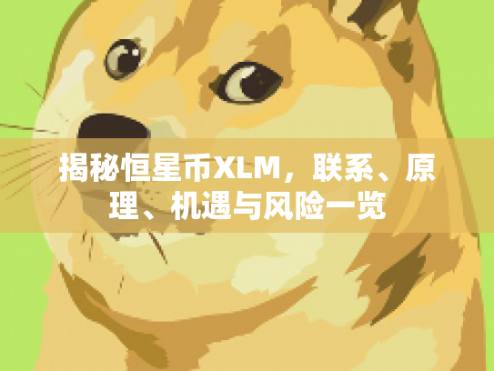 揭秘恒星币XLM,联系、原理、机遇与风险一览 揭秘恒星币XLM,联系、原理、机遇与风险一览