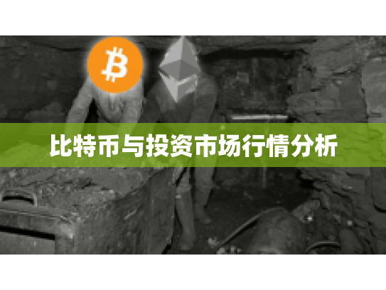 比特币与投资市场行情分析