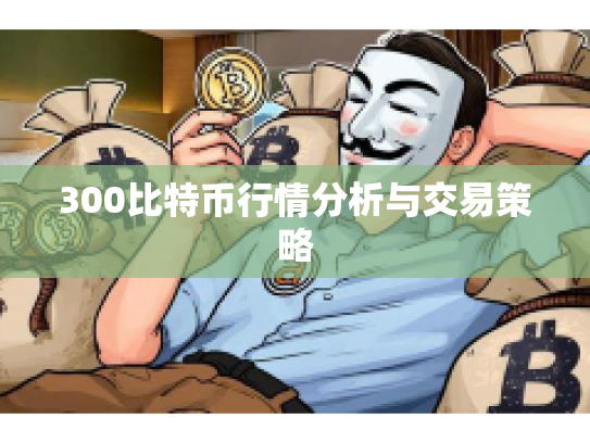 300比特币行情分析与交易策略 300比特币行情分析与交易策略