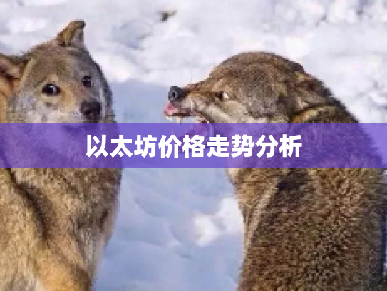 以太坊价格走势分析 以太坊价格走势分析