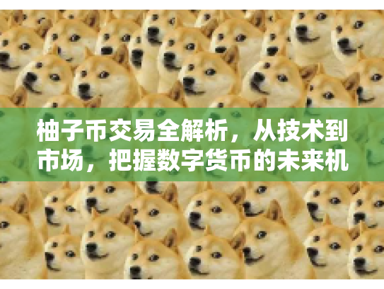 柚子币交易全解析，从技术到市场，把握数字货币的未来机遇与风险