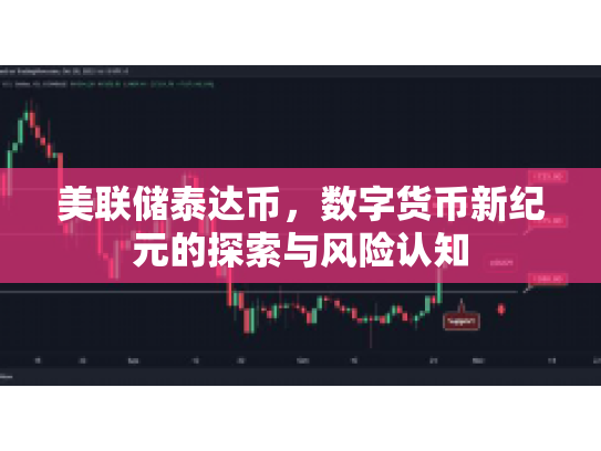 美联储泰达币，数字货币新纪元的探索与风险认知
