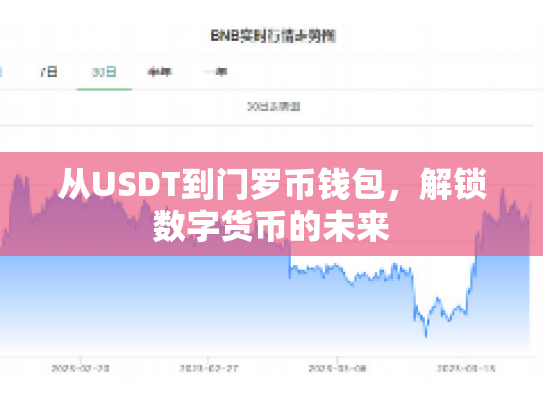从USDT到门罗币钱包，解锁数字货币的未来