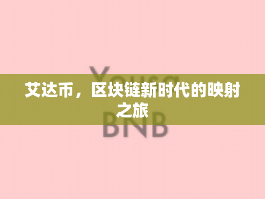 艾达币，区块链新时代的映射之旅