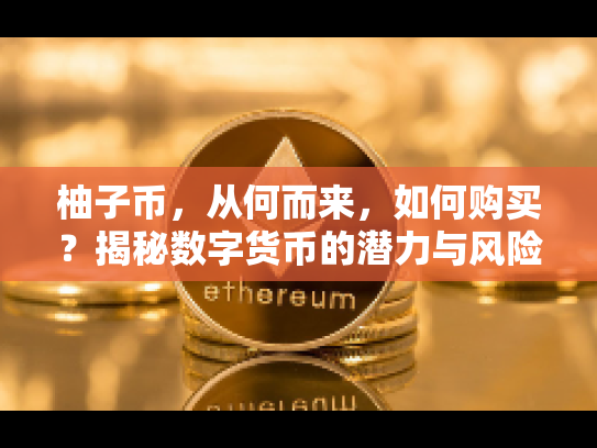 柚子币，从何而来，如何购买？揭秘数字货币的潜力与风险