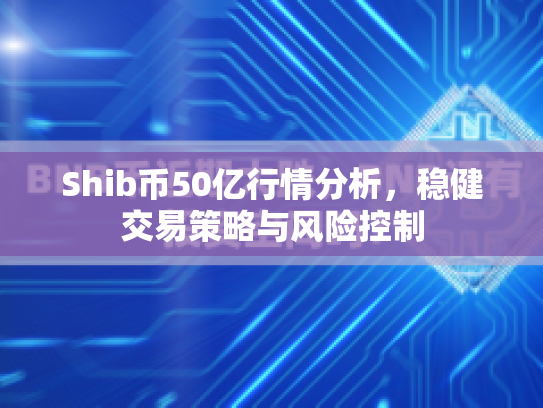 Shib币50亿行情分析，稳健交易策略与风险控制
