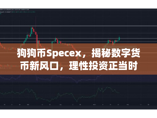 狗狗币Specex，揭秘数字货币新风口，理性投资正当时