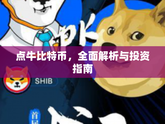点牛比特币，全面解析与投资指南
