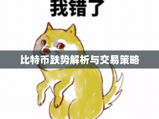 比特币跌势解析与交易策略