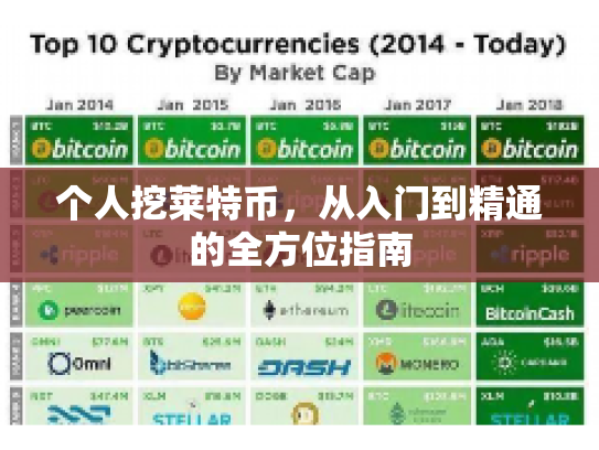 个人挖莱特币，从入门到精通的全方位指南