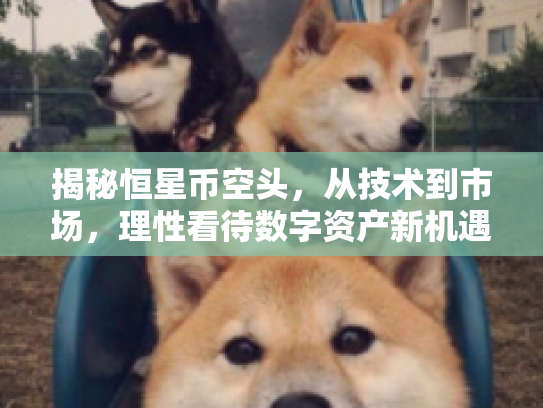 揭秘恒星币空头，从技术到市场，理性看待数字资产新机遇