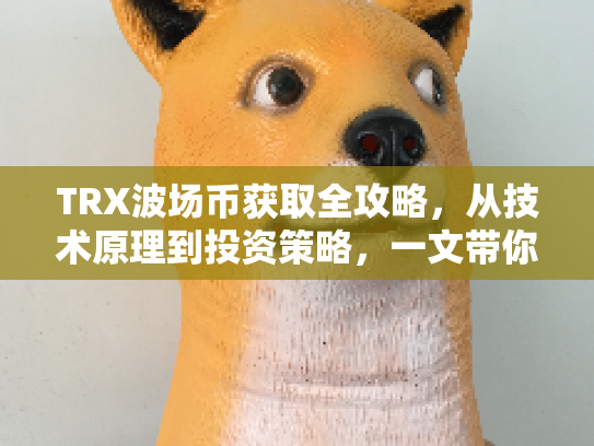 TRX波场币获取全攻略，从技术原理到投资策略，一文带你掌握数字货币的奥秘
