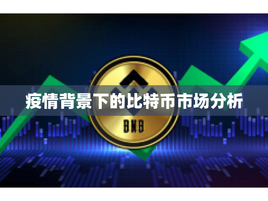 疫情背景下的比特币市场分析