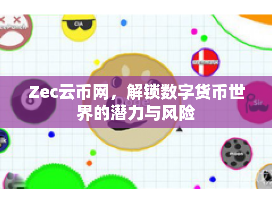 Zec云币网，解锁数字货币世界的潜力与风险