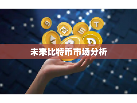 未来比特币市场分析