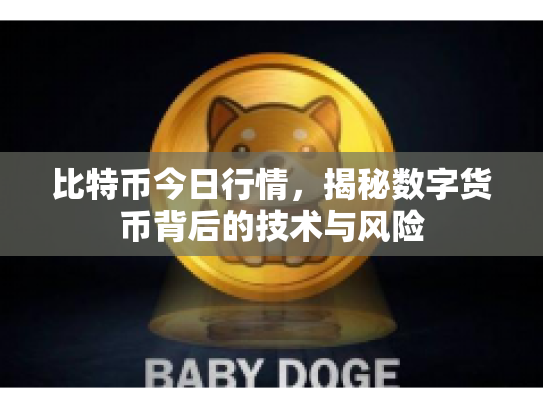 比特币今日行情，揭秘数字货币背后的技术与风险