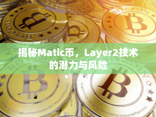揭秘Matic币,Layer2技术的潜力与风险 揭秘Matic币,Layer2技术的潜力与风险