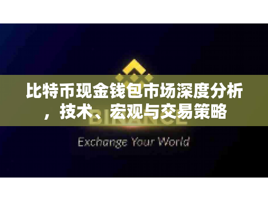比特币现金钱包市场深度分析，技术、宏观与交易策略