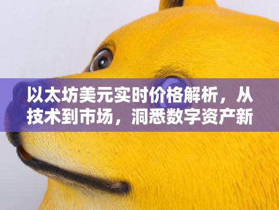 以太坊美元实时价格解析,从技术到市场,洞悉数字资产新机遇 以太坊美元实时价格解析,从技术到市场,洞悉数字资产新机遇