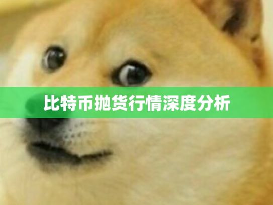 比特币抛货行情深度分析