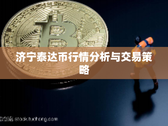 济宁泰达币行情分析与交易策略