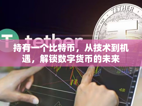 持有一个比特币，从技术到机遇，解锁数字货币的未来